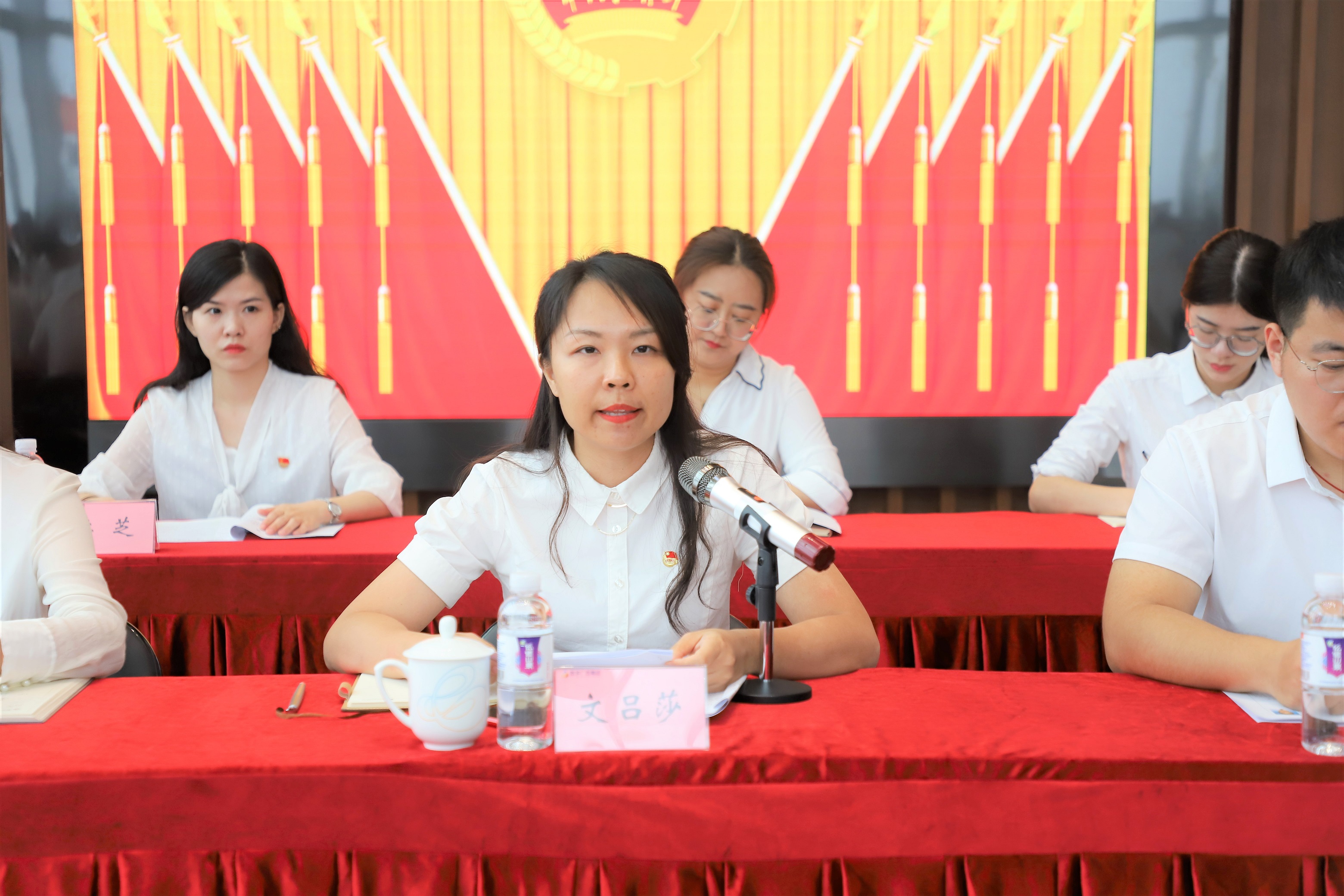 文书记讲话.jpg